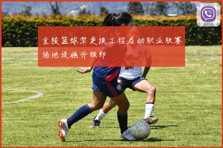 金陵篮球架更换工程启动职业联赛场地设施升级即