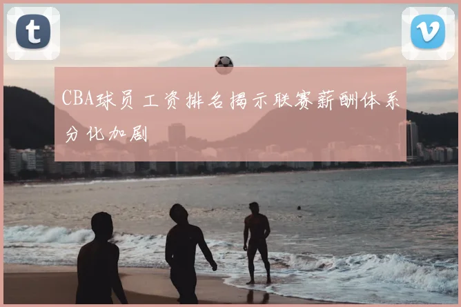 CBA球员工资排名揭示联赛薪酬体系分化加剧