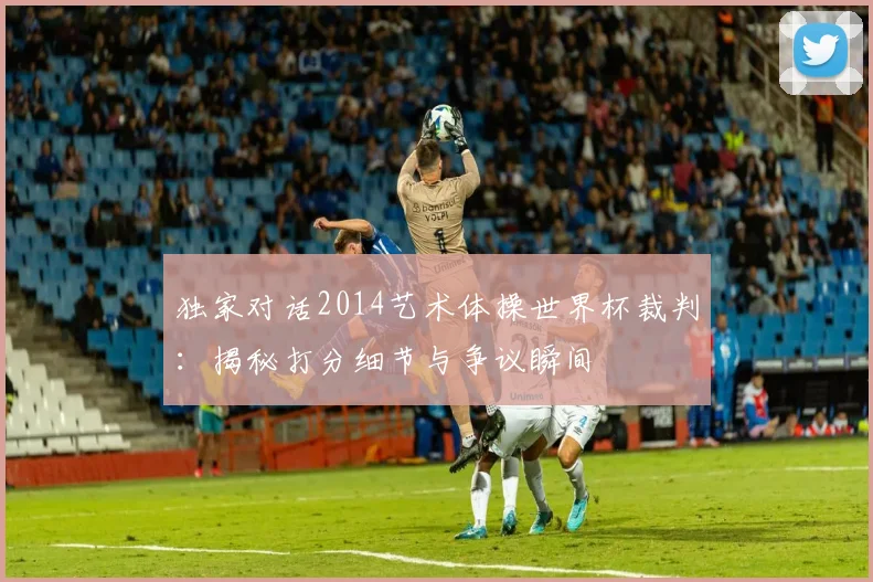 独家对话2014艺术体操世界杯裁判:揭秘打分细节与争议瞬间