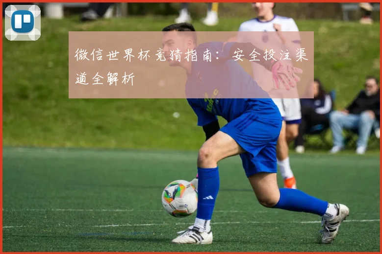 微信世界杯竞猜指南：安全投注渠道全解析