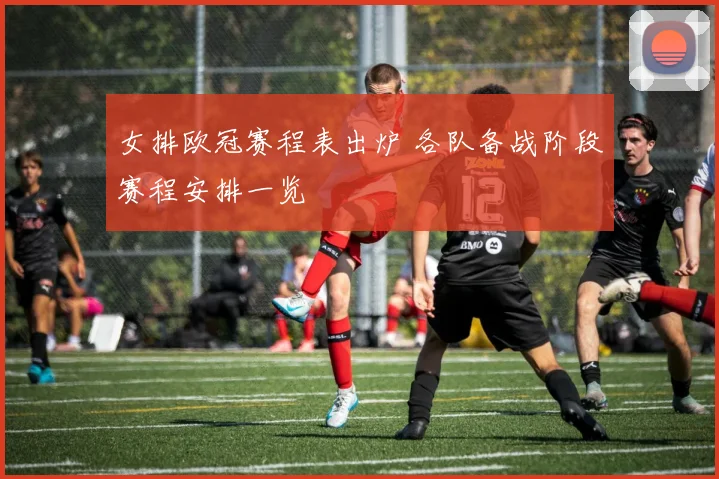 女排欧冠赛程表出炉 各队备战阶段赛程安排一览