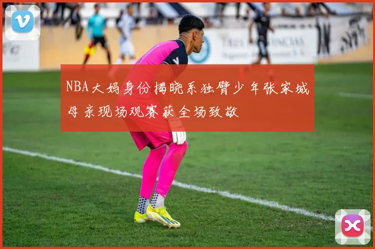 NBA大妈身份揭晓系独臂少年张家城母亲现场观赛获全场致敬