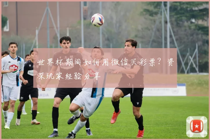 世界杯期间如何用微信买彩票？资深玩家经验分享