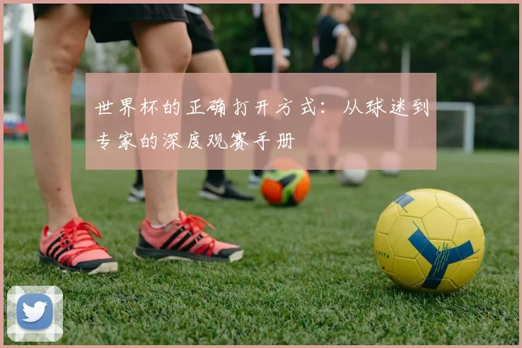 世界杯的正确打开方式：从球迷到专家的深度观赛手册