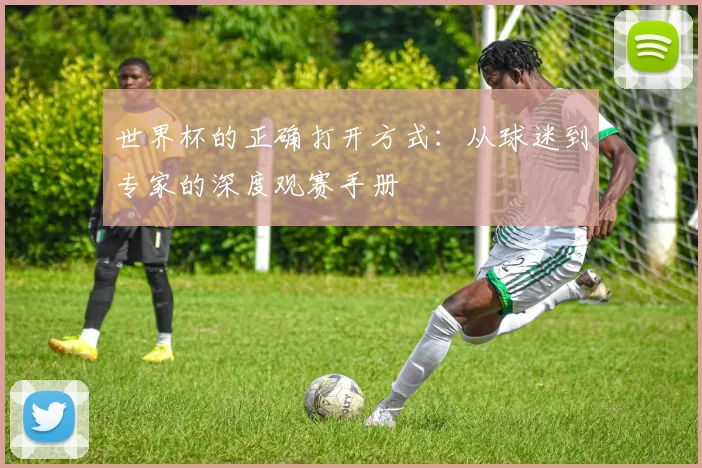 世界杯的正确打开方式：从球迷到专家的深度观赛手册