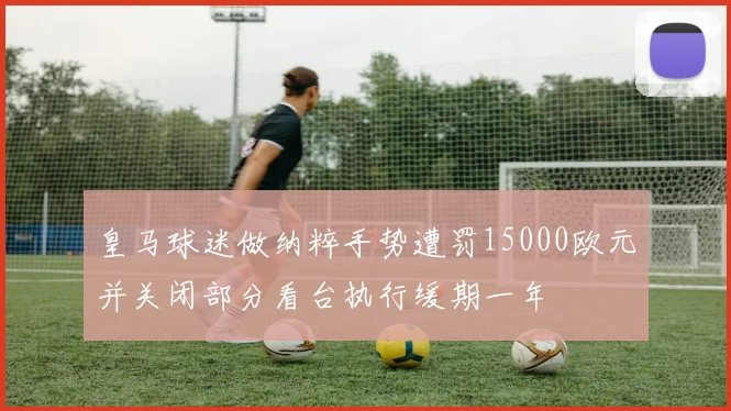 皇马球迷做纳粹手势遭罚15000欧元并关闭部分看台执行缓期一年