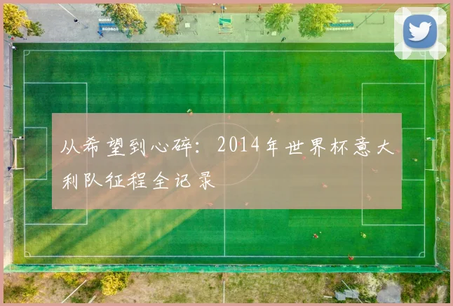 从希望到心碎：2014年世界杯意大利队征程全记录